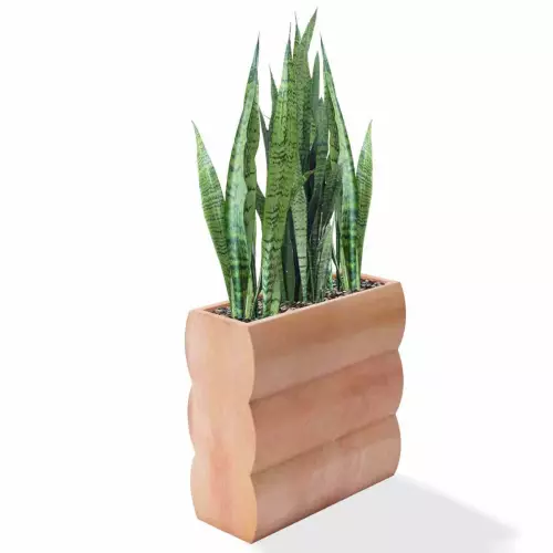 Donica Nyx w kolorze terakoty z sansewierią