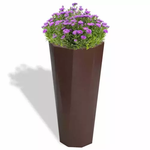 Czekoladowa donica Octavia z astrami