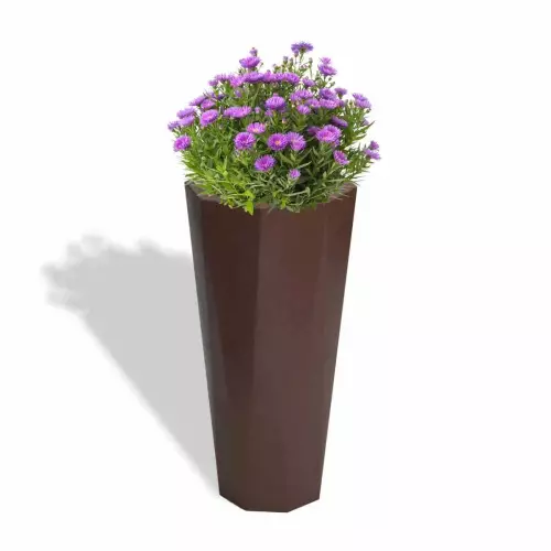 Czekoladowa donica Octavia z astrem