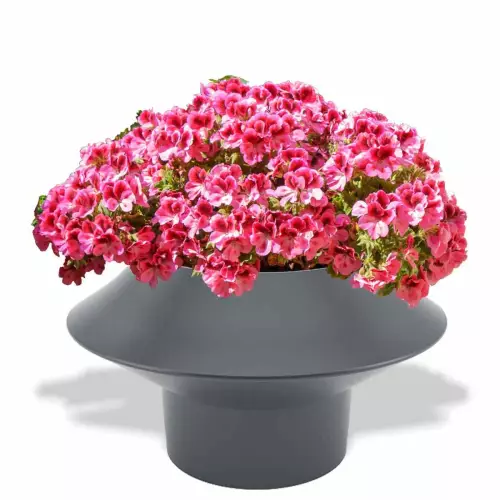 Antracytowa donica Pagoda z pelargoniami