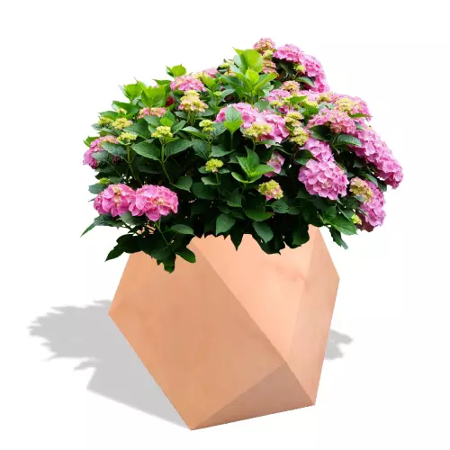 Donica Pandora w kolorze terakota z hortensją