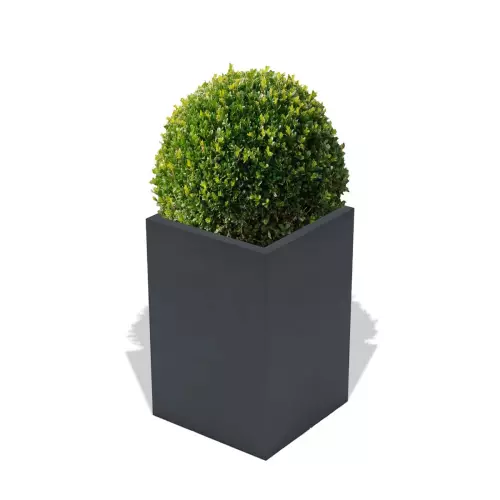 Antracytowa donica Quadri z formowanym bukszpanem