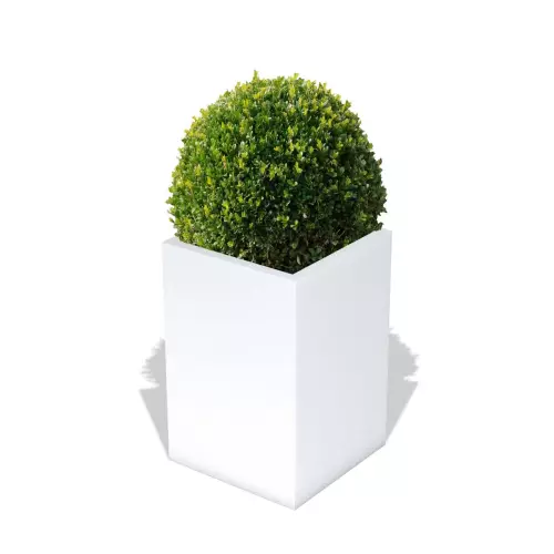 Biała donica Quadri z formowanym bukszpanem