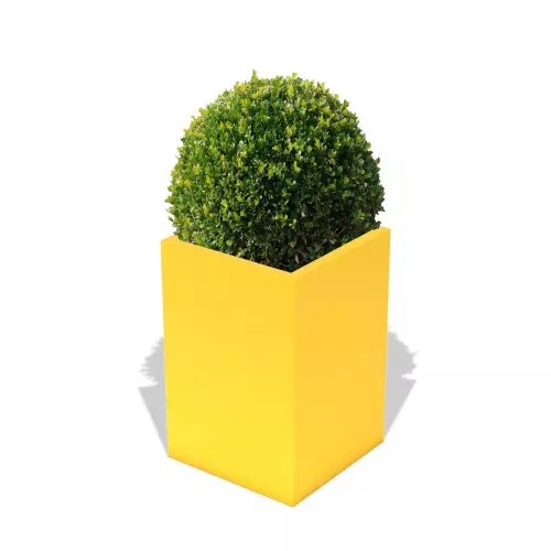 Cytrynowa donica Quadri z formowanym bukszpanem