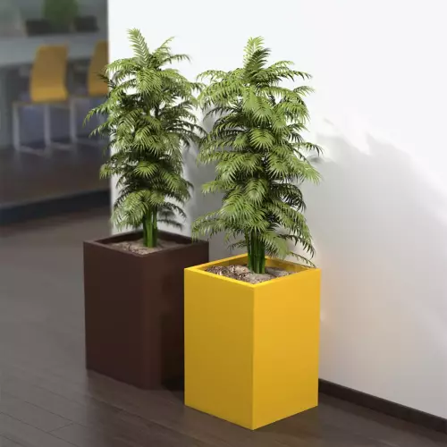 Cytrynowa i czekoladowa donica Quadri w holu