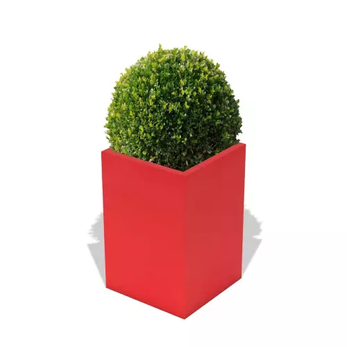 Czerwona donica Quadri z formowanym bukszpanem