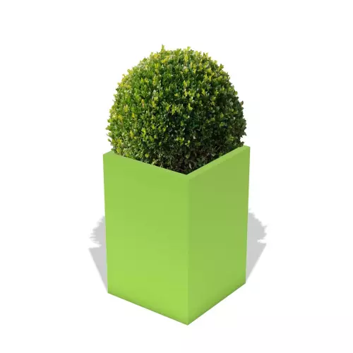 Limonkowa donica Quadri z formowanym bukszpanem