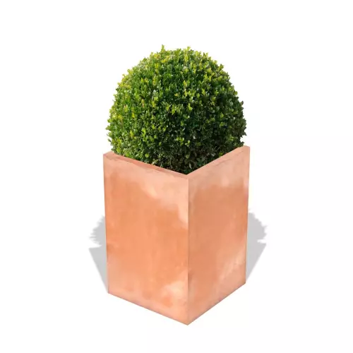Terakotowa donica Quadri z formowanym bukszpanem