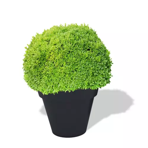 Antracytowa donica Saturn z bukszpanem