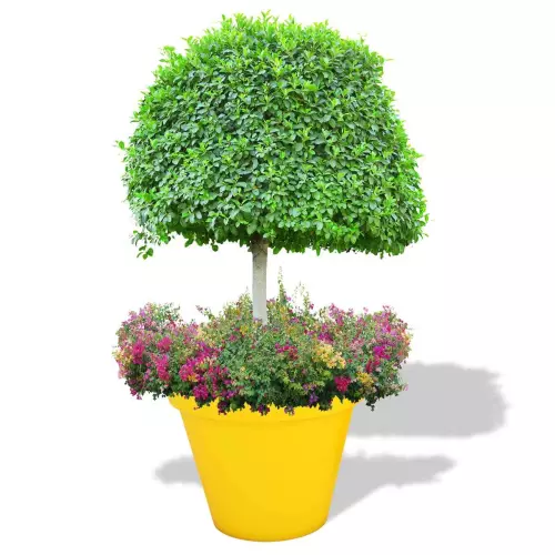 Cytrynowa donica Saturn z drzewkiem i rabatą kwiatową