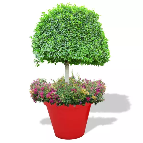 Czerwona donica Saturn z drzewkiem i rabatą kwiatową