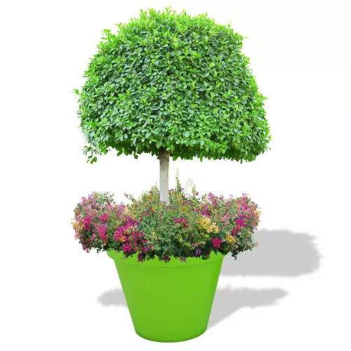 Limonkowa donica Saturn z drzewkiem i rabatą kwiatową