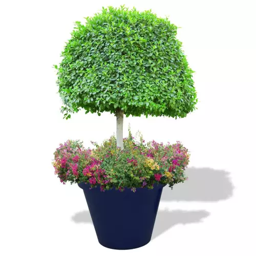 Niebieska donica Saturn z drzewkiem i rabatą kwiatową