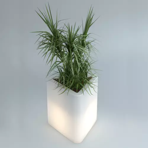 TRITON PL-TR68-LIGHT - aranżacja