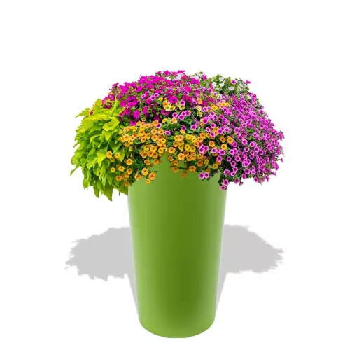 Limonkowa donica Uran z pelargoniami w aranżacji