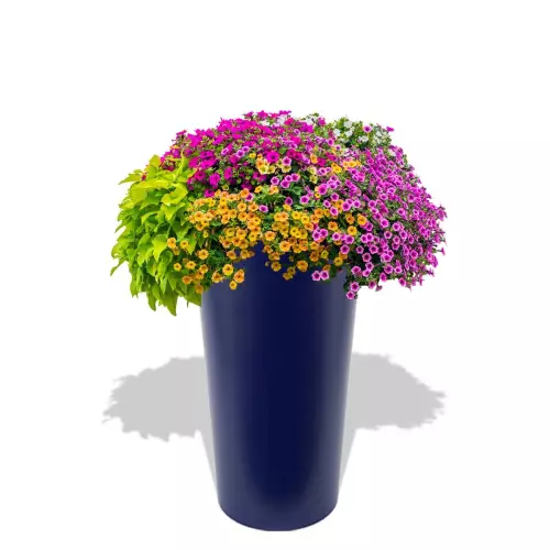 Niebieska donica Uran z pelargoniami w aranżacji