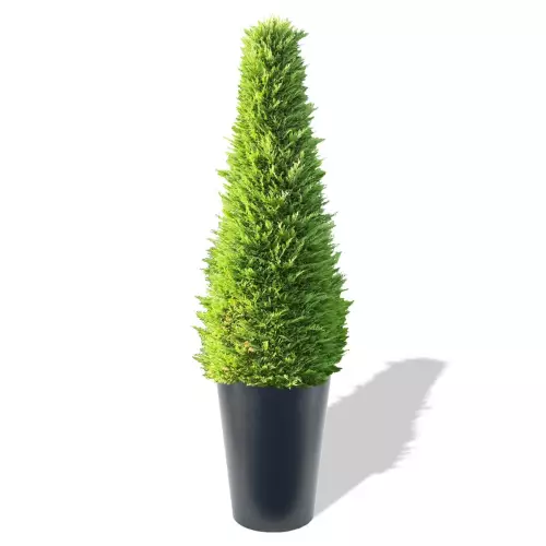 Antracytowa donica Uran z żywotnikiem