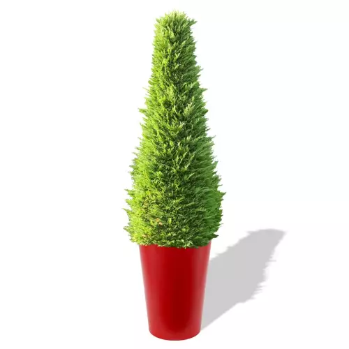 Czerwona donica Uran z żywotnikiem