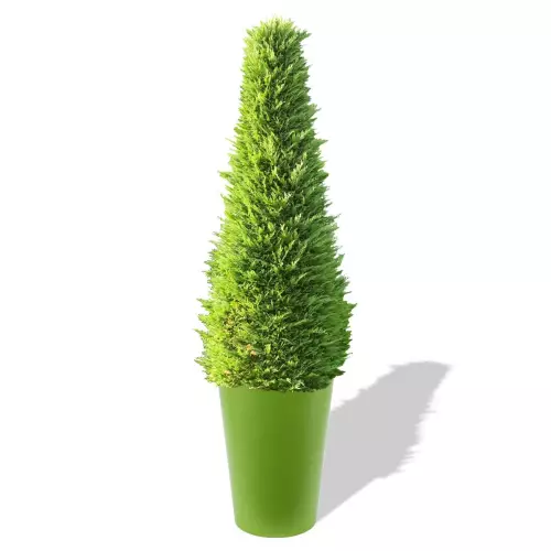 Limonkowa donica Uran z żywotnikiem