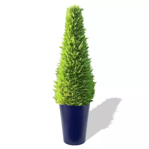 Niebieska donica Uran z żywotnikiem