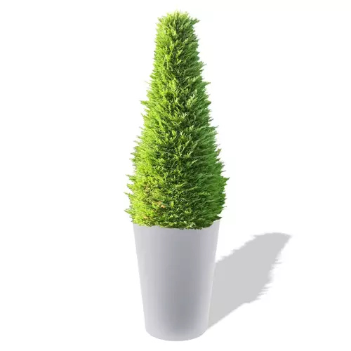 Biała donica Uran z żywotnikiem