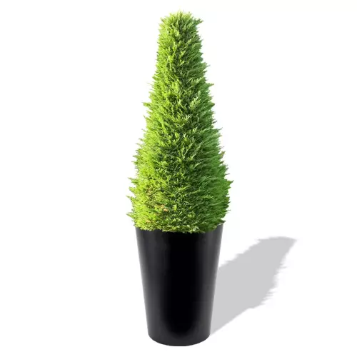 Czarna donica Uran z żywotnikiem