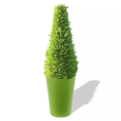 Limonkowa donica Uran z żywotnikiem