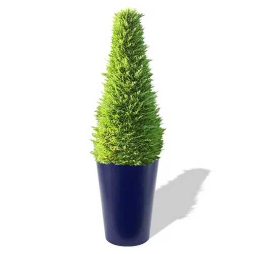 Niebieska donica Uran z żywotnikiem