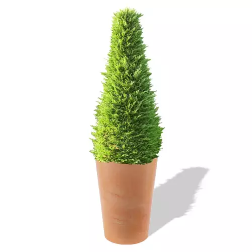 Terakotowa donica Uran z żywotnikiem