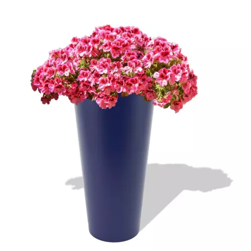 Niebieska donica Venus z pelargonią