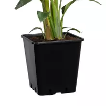 Wkład do donicy kwadratowy 11 litrów 25x25x26 cm