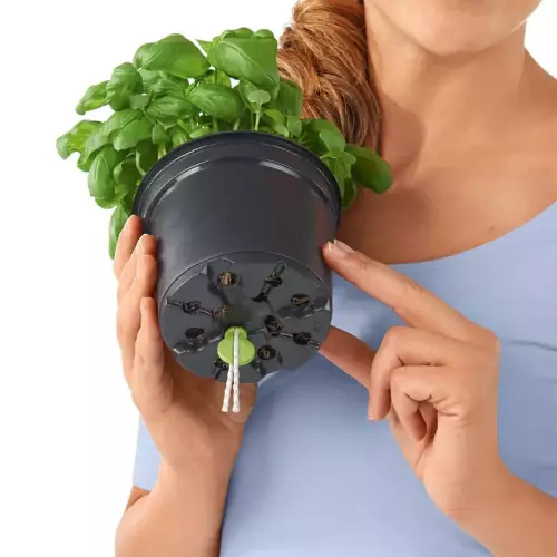 Knotowy system nawadniania dla doniczek produkcyjnych