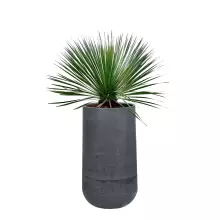 Donica betonowa BOWL H 50x90 cm grafitowy