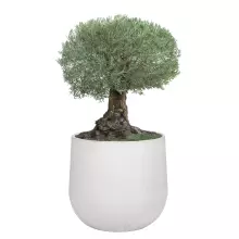 Donica betonowa BOWL XL 115x100 cm bialy