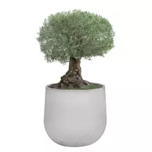 Donica betonowa BOWL XL 115x100 cm szary naturalny