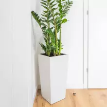 Donica betonowa CONE S 19x19x40 biały