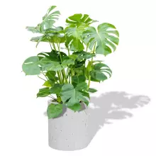 Donica betonowa RING M 45/50 biały