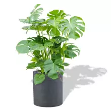 Donica betonowa RING M 45/50 grafit