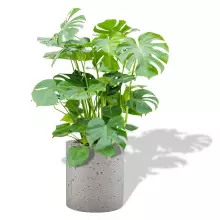 Donica betonowa RING M 45/50 szary naturalny