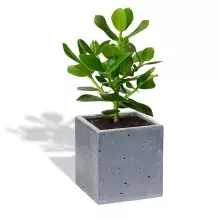 Donica betonowa S 14x14x15 grafitowy