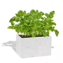 Donica betonowa S 24x14x15 biały