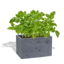 Donica betonowa S 24x14x15 grafitowy