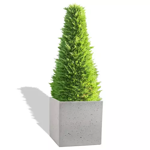 Szara donica Block M z żywotnikiem