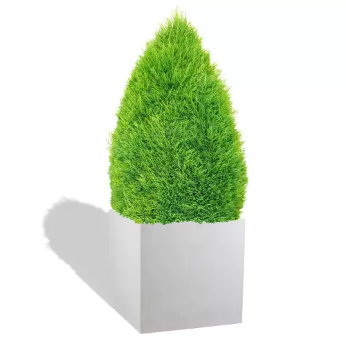 Biała donica Block L z cisem