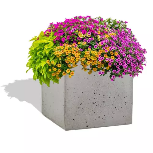 Szara donica Box 45x45x45 z petuniami w aranżacji