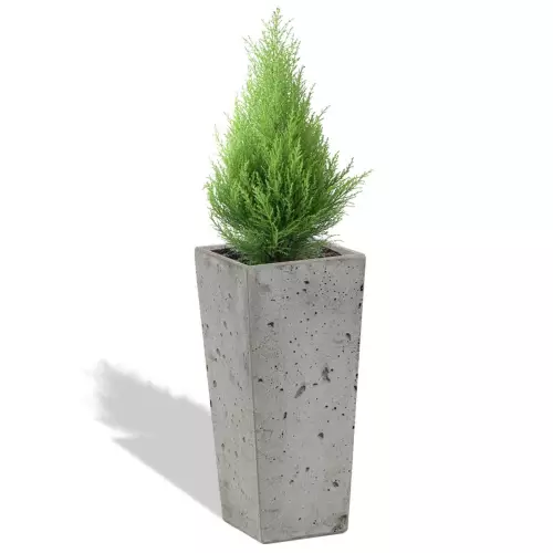 Szara donica Cone 19x19x40 z cyprysem