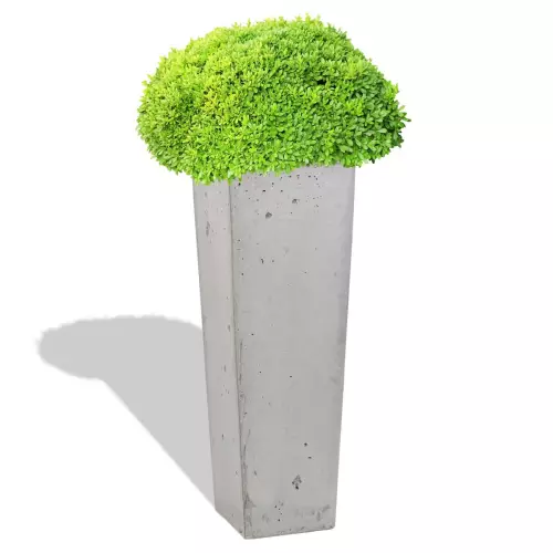 Szara donica Cone 32x32x93 z bukszpanem