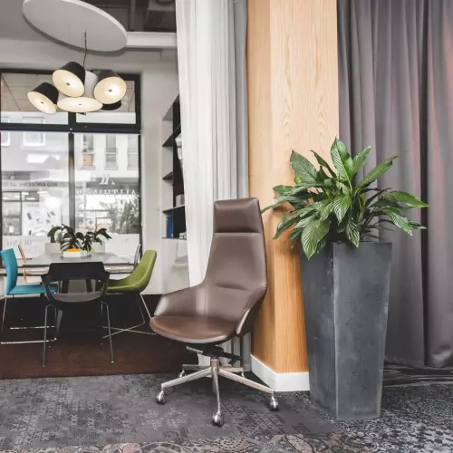 Grafitowa donica z betonu architektonicznego Cone L w salonie