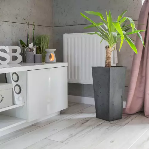 Juka w grafitowej donicy z betonu architektonicznego