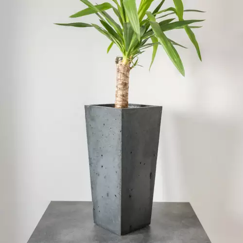 Grafitowa doniczka z betonu na blacie